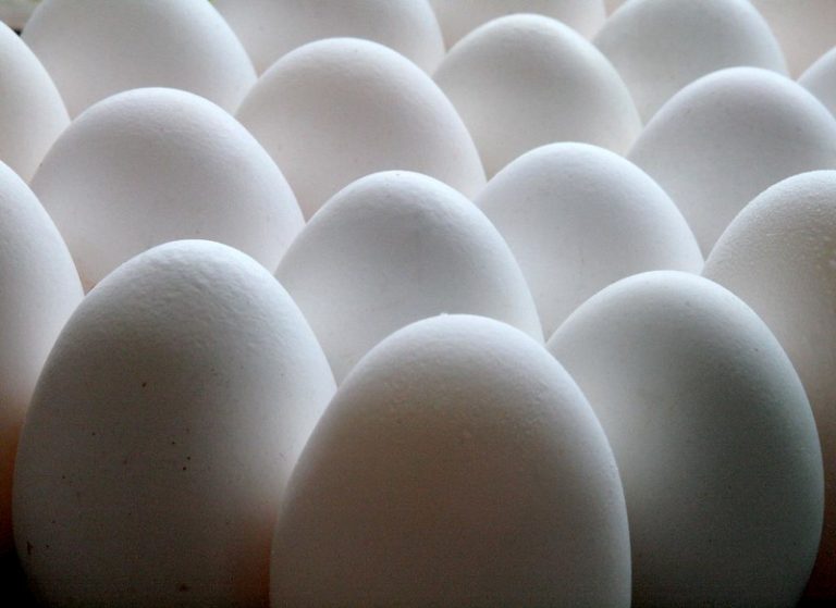 Eggs & Cholesterol Nutritional Sciences